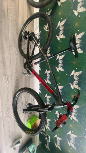 Trek roscoe msg for more - me,