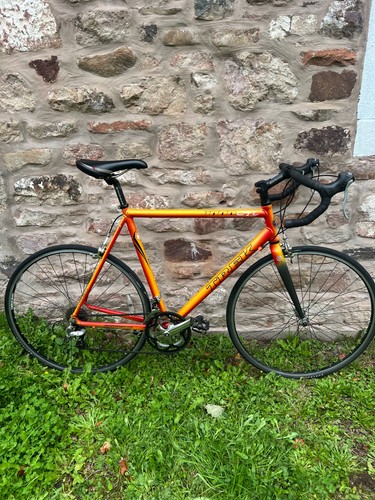 Trek 1000 large road - , bike